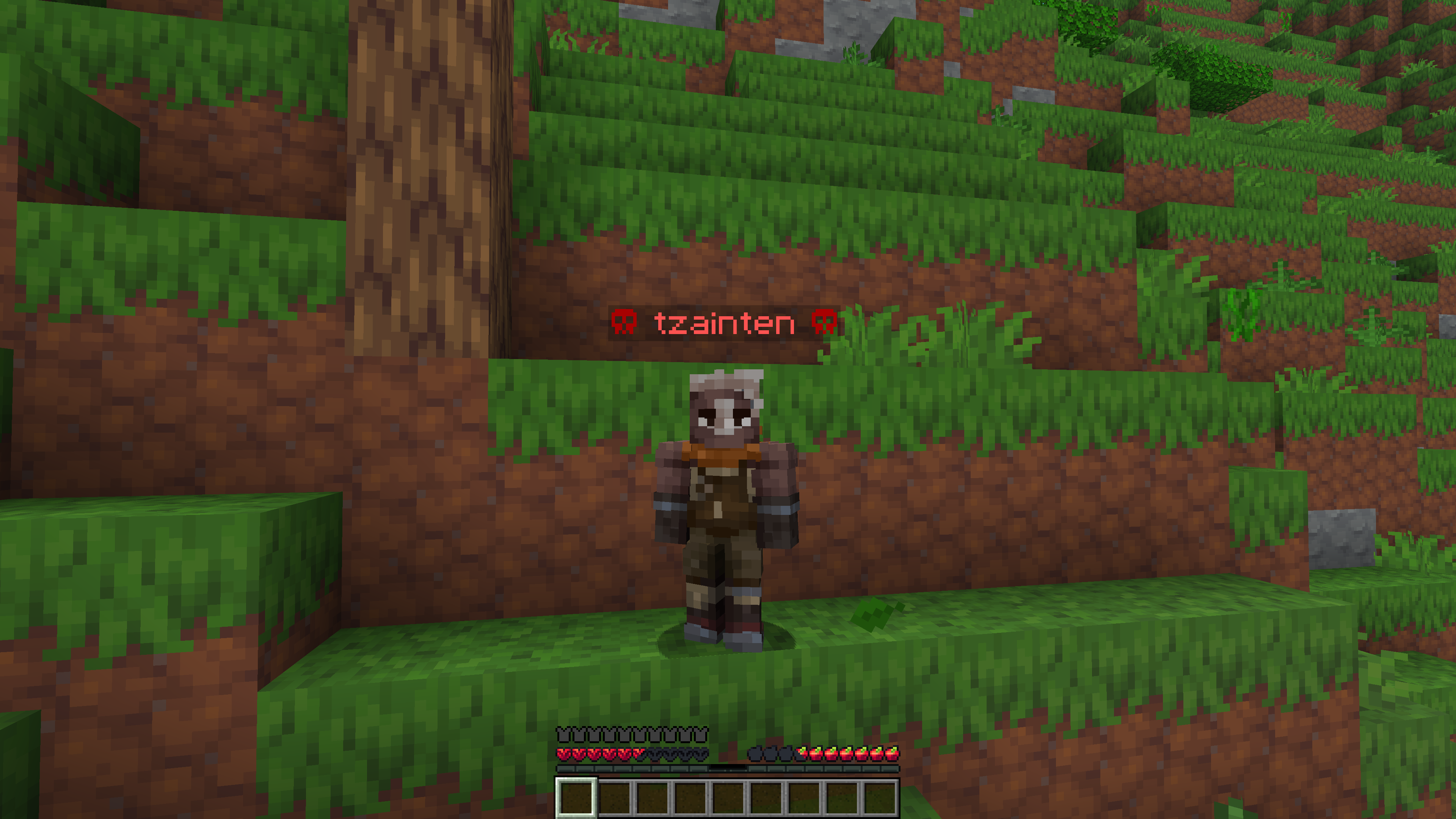 The Mark of Shame — my favorite feature in the mod